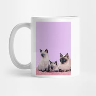 Distracted Mug